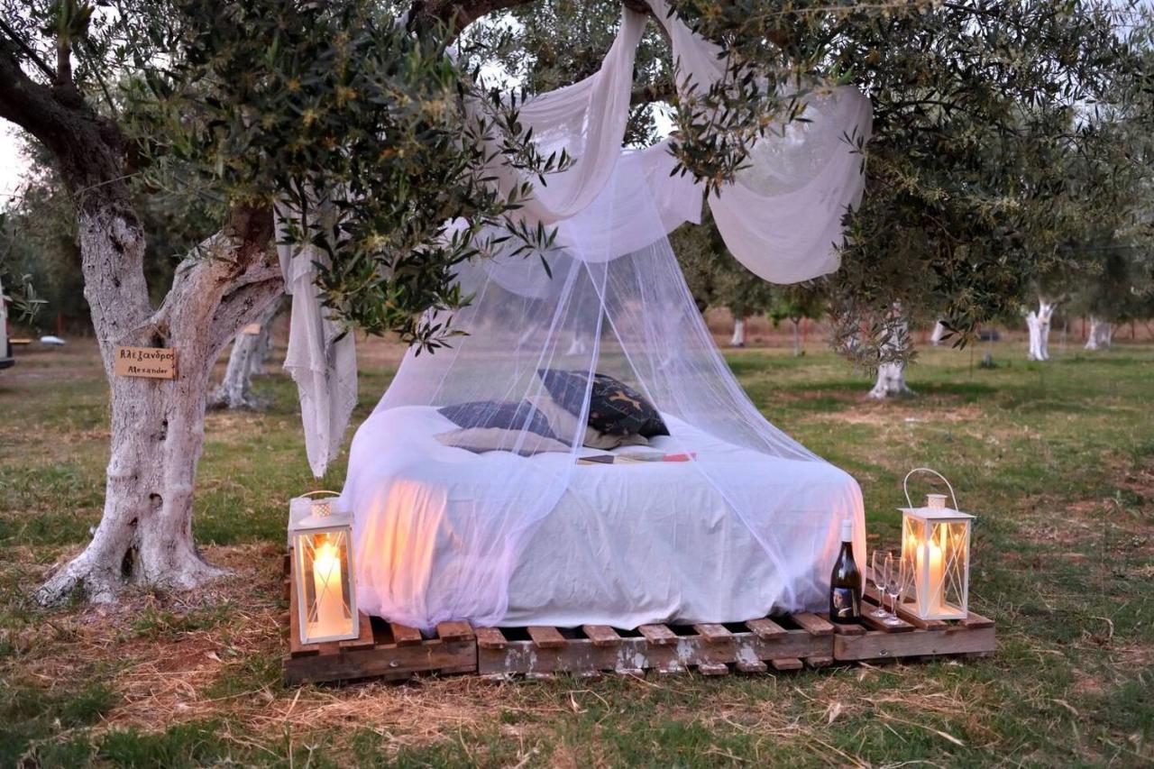 Glamping At A Lovely Tent In Skiaxtro- Marathopoli Villa Exteriör bild